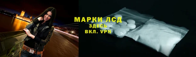 стафф Аркадак