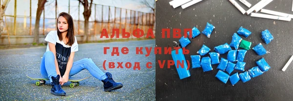 стафф Аркадак