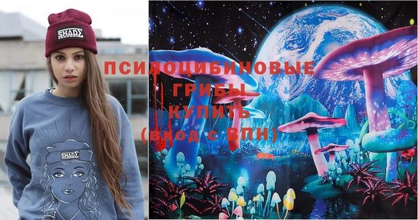 стафф Аркадак